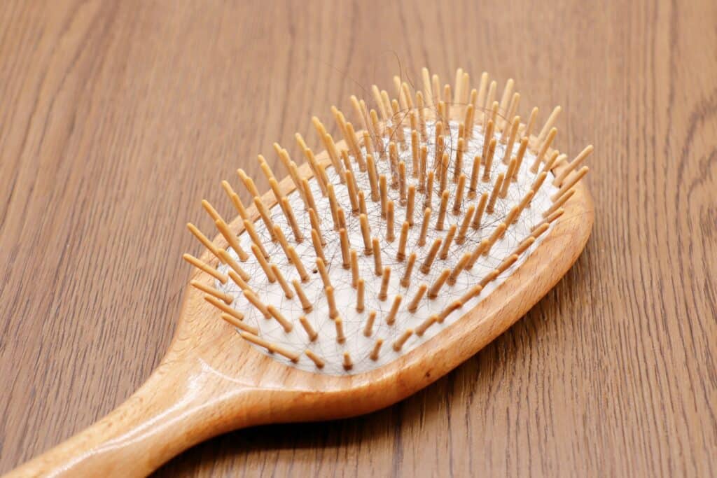 Hair loss on hairbrush