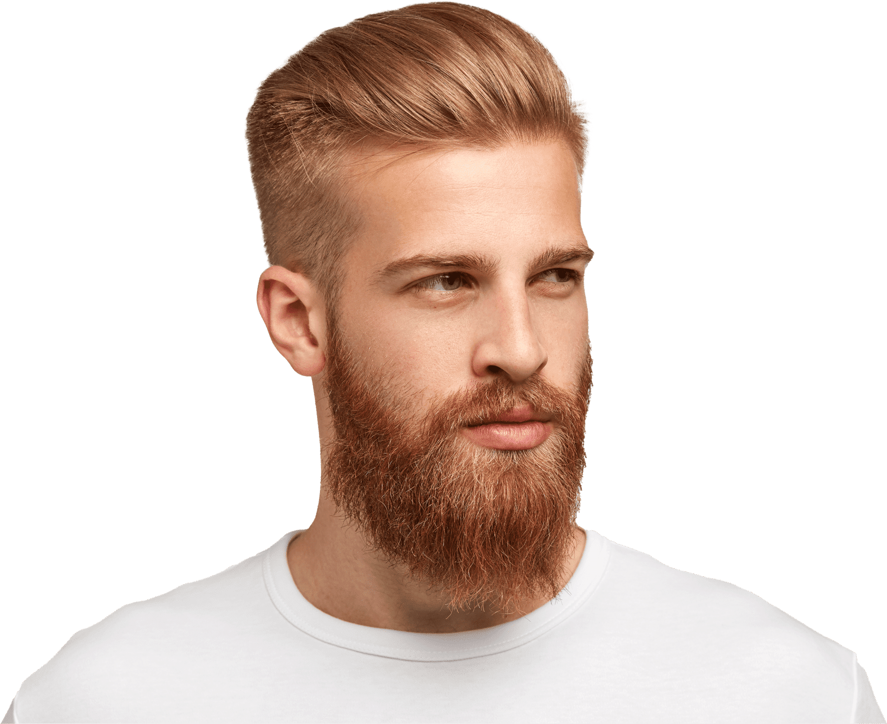 greffe de barbe en Turquie